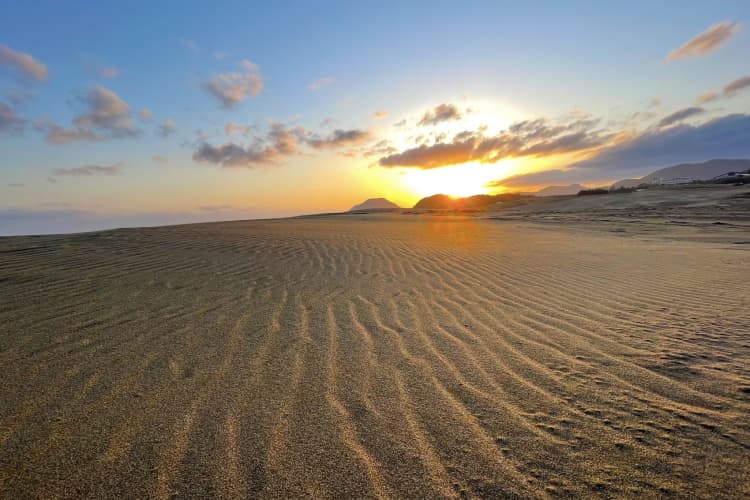 鳥取砂丘：広大な砂の冒険ワールド